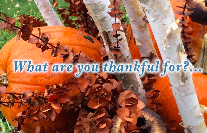 What+are+you+thankful+for%3F