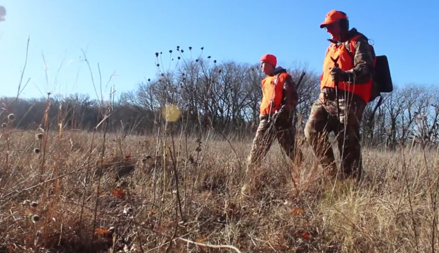 VIDEO: The beauty of hunting