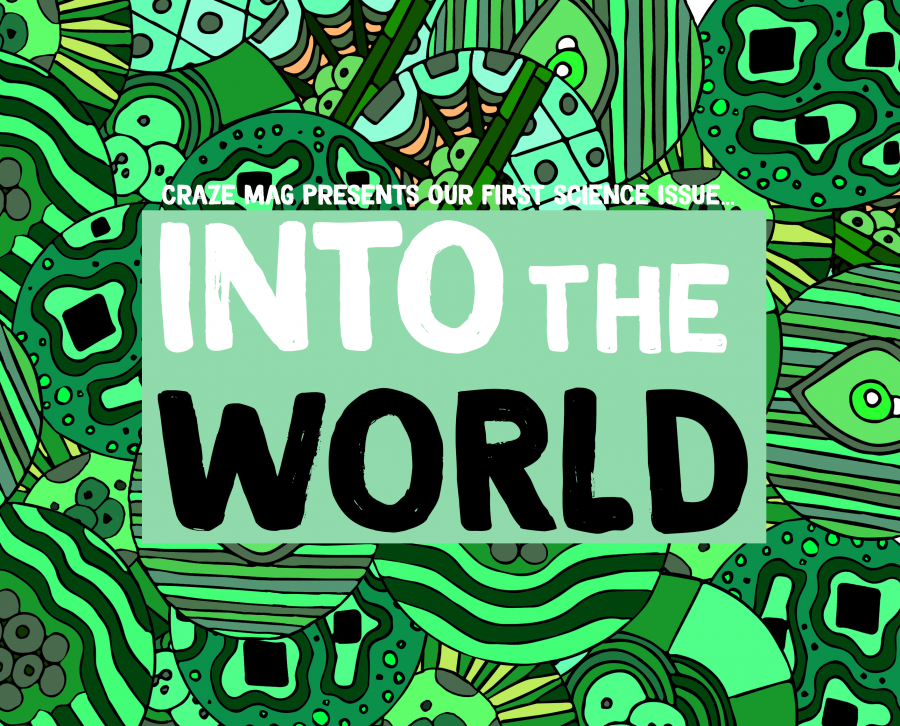 Into the World Issue