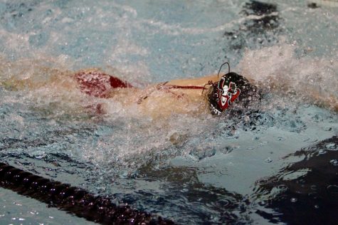 Boys diving finds initial success at meets
