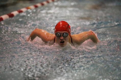 Swimming and Diving Prepares for Metro Meet