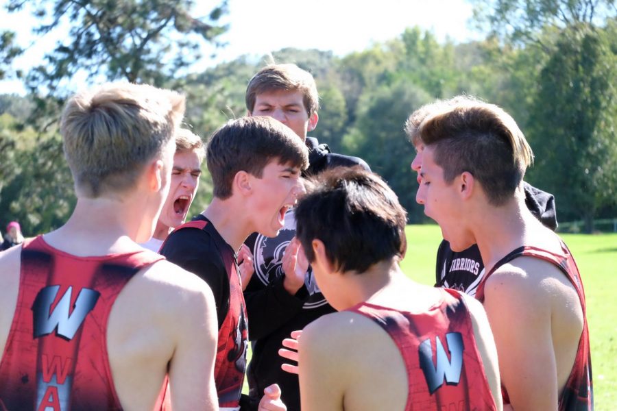 PREVIEW: Cross Country Team Experimenting With New Team Structure