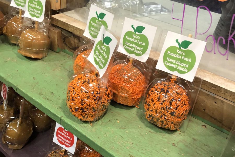 Valas caramel apples are a necessary treat when visiting the pumpkin patch. They are available with regular caramel topping, or can be topped with crushed peanuts or sprinkles.