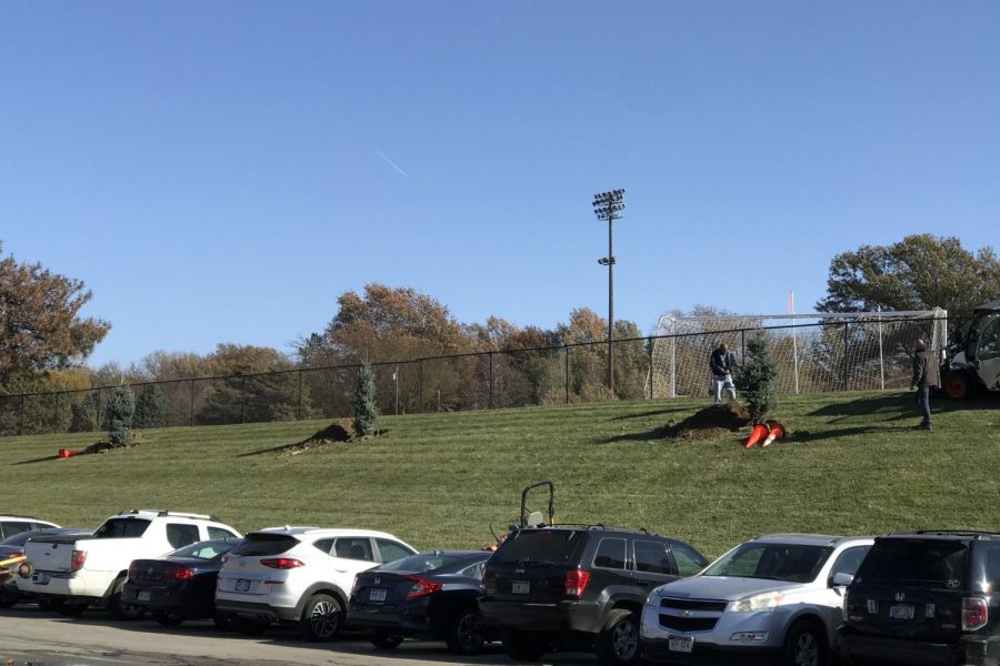 Westside High School groundskeepers plant several of the new trees west of the football field.