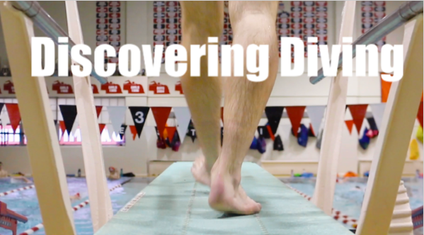 Discovering Diving
