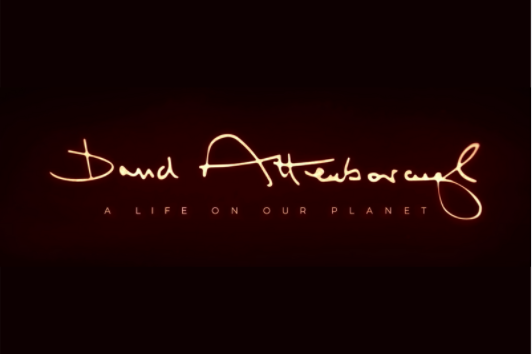David Attenboroughs new documentary, A Life on Our Planet, was released on Oct. 4.