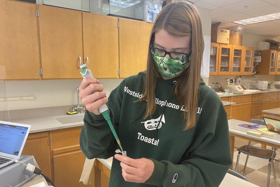 Senior Cassidy Smith uses a pipette during the AP Biology lab.
