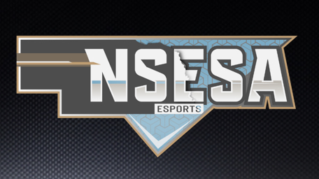 The NSESA or Nebraska Schools eSPorts Association has helped promote and grow the popularity and organization of school sanctioned eSports and looks to grow their market at Westside - Photo from NSESA website