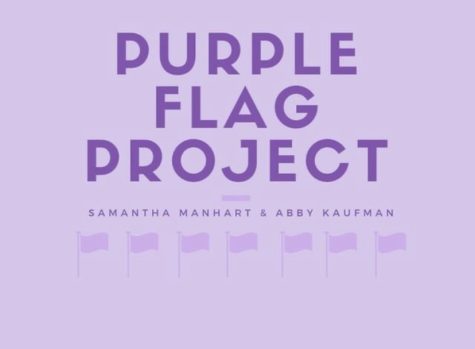 DECA students Sam Manhart and Abby Kaufman put together a project to raise awareness for domestic violence.