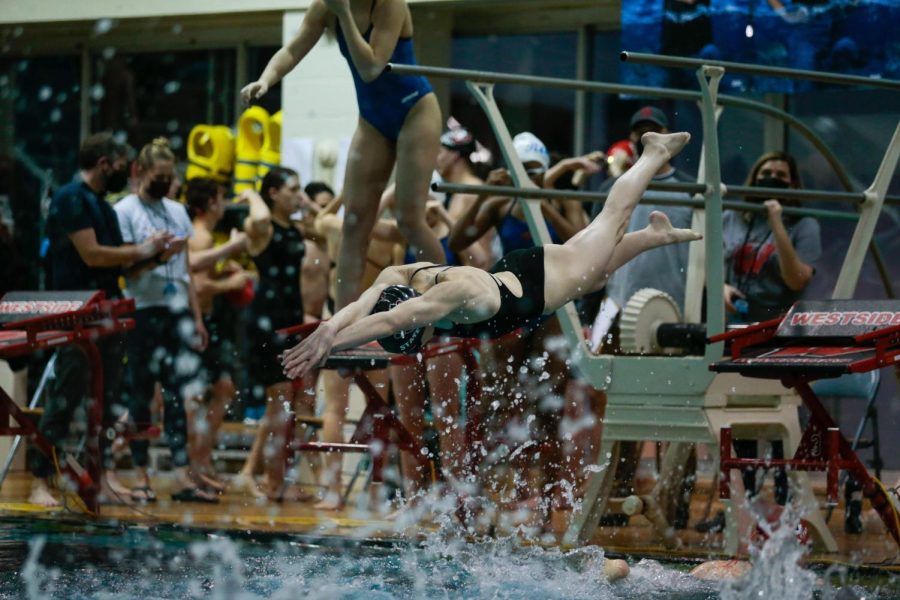 Junior Kate Stevens dives during a meet last year. Stevens won the 200 freestyle in a time of 1:57.41.