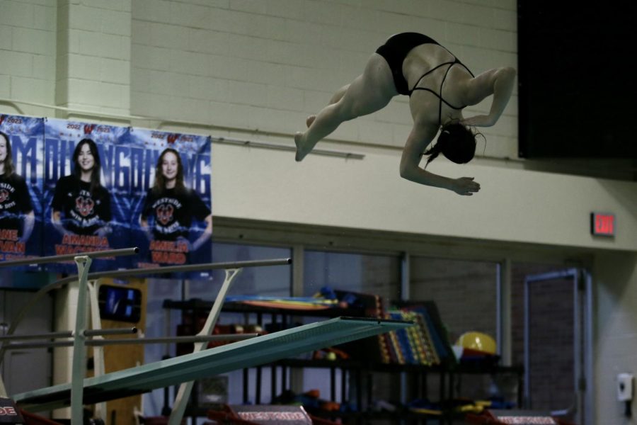 Westside diver ranks among best in the state