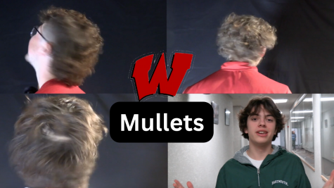 Mullets: An unexpected feature