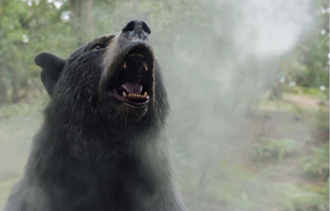 This graphic is courtesy of the Cocaine Bear Exclusive Featurette. 