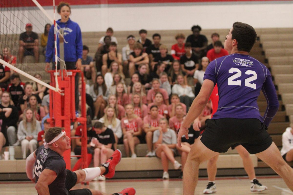 PHOTO GALLERY: PowderBuff