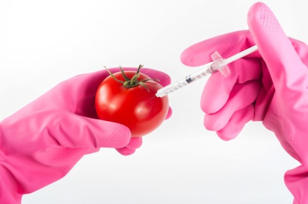 Why Genetically Modified Crops and Food are so controversial and why I think they should be banned.