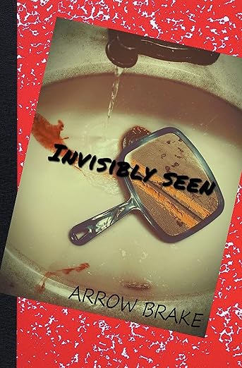 Invisibly Seen, a collection of poems by teen author Arrow Brake, puts a poetic spin on the mental health conversation. 
