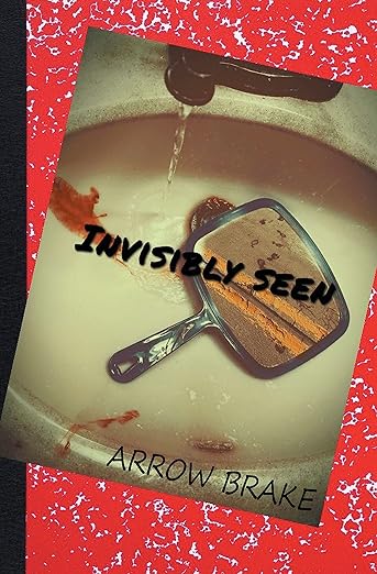 'Invisibly Seen,' a collection of poems by teen author Arrow Brake, puts a poetic spin on the mental health conversation. 