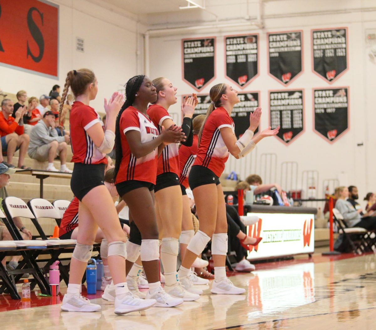 Volleyball team makes a statement in dual play