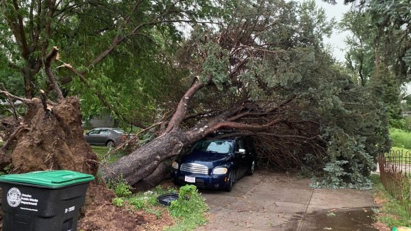 Football Team Helps Community in Storm Cleanup