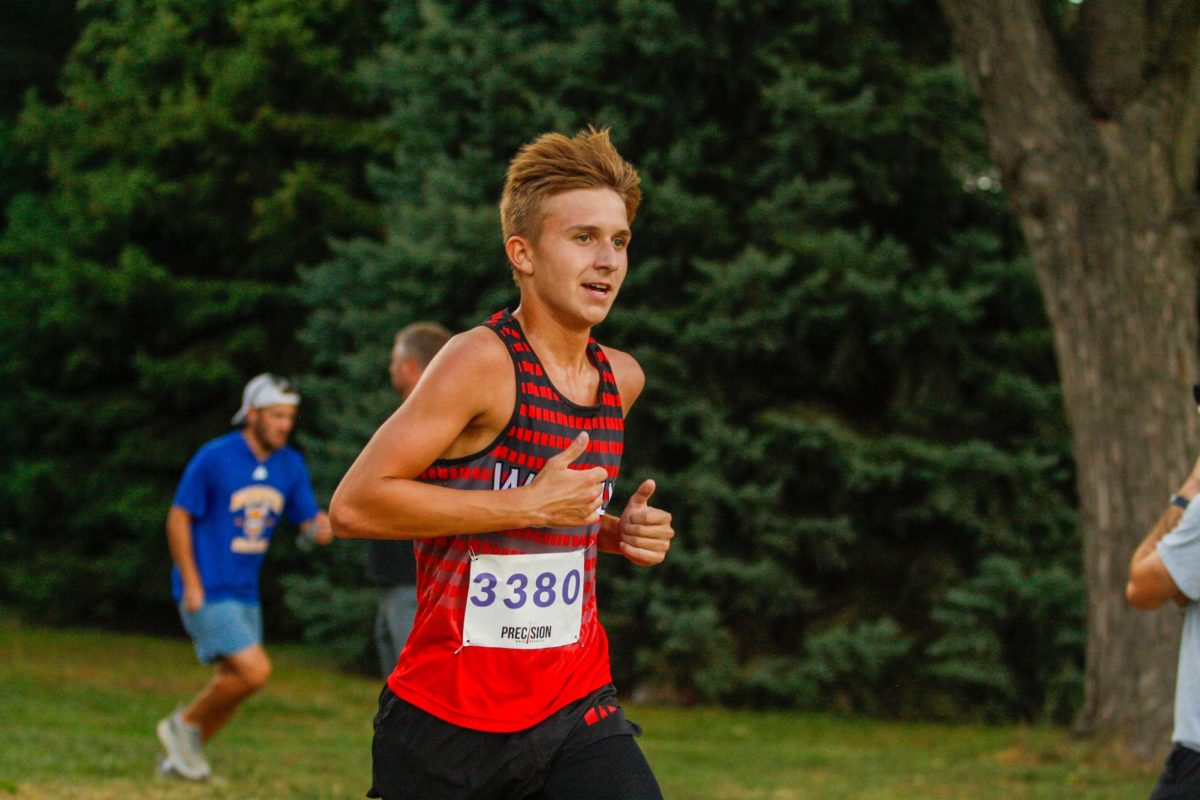 Boys cross country team wins metro championship