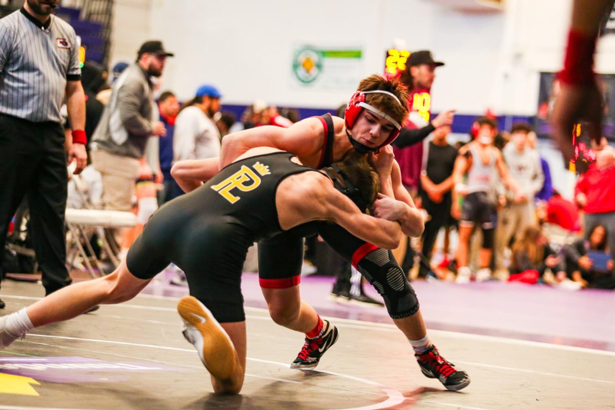 Boys Wrestling Team Performs Well at Metros