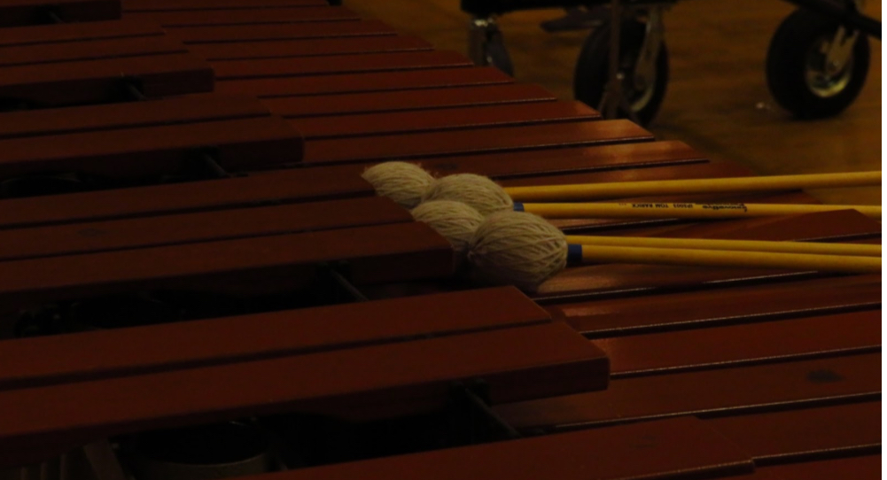 The Pulse of Performance