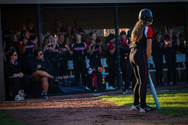 Softball Districts & State Recap