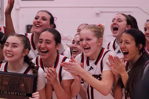 PHOTO GALLERY: Girls Varsity Basketball District Finals versus Lincoln High