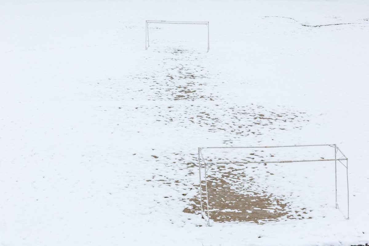 Winter Transitions
